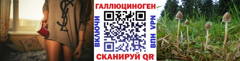 сколько стоит  Гуково  Галлюциногенные грибы Psilocybe 